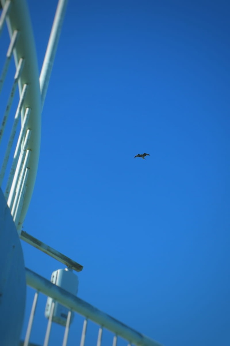 2019_0616_16141400-02_sqsh80