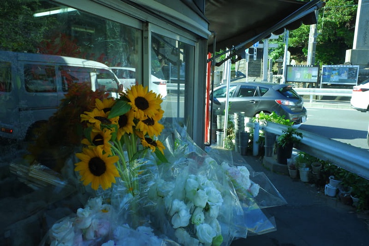 2019_0616_16272700_dscf1207_sqsh80